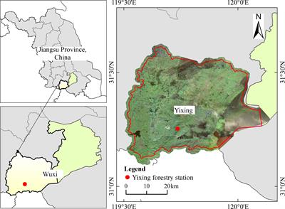 Dynamics of stand productivity in Moso bamboo forest after strip cutting